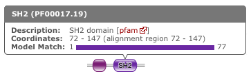 Domain graphic